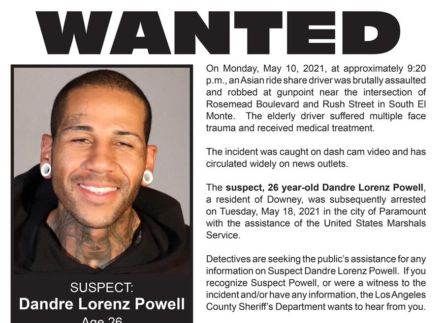 head shot of suspect in this case, Dandre Lorenz Powell: male, very short hair, White hear plug earings, tatoo over right eye, tatoos on neck.suspect is wearing black hooded sweatshirt.