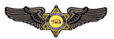 Badge style logo, yellow in color. LASD 6 point star is in the center. Two illustrated Bird wings with stylized feathers are Spreading out from the sides.